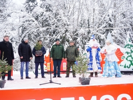 Главную новогоднюю елку страны спилили в Подмосковье 