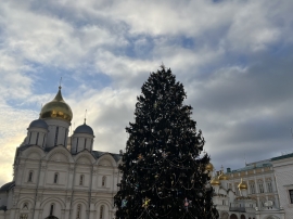 Главную новогоднюю ёлку страны украсили в Кремле