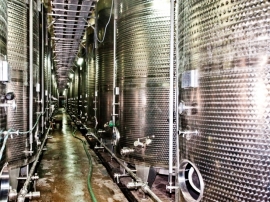 «Массандра» после модернизации запустила цех выдержки вина на 125 тысяч декалитров