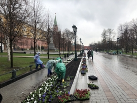 Завершено озеленение Александровского сада Московского Кремля в 2018 году.